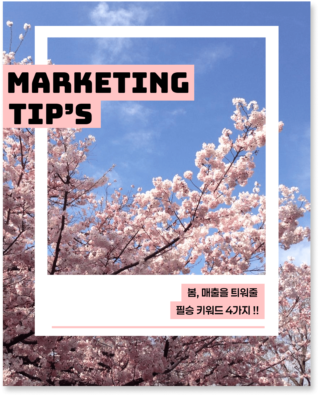 벚꽃 필 때 매출도 피려면 '이 단어'를 선점하세요